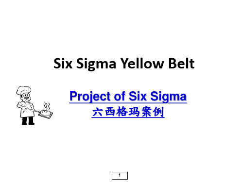 《六西格玛案例》PPT课件