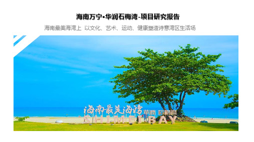 海南万宁华润石梅湾项目研究报告项目分析