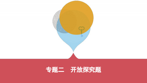 2019版初三中考模拟(河北数学)专题二 开放探究题(可编辑PPT)