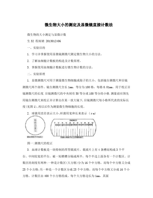 微生物大小的测定及显微镜直接计数法