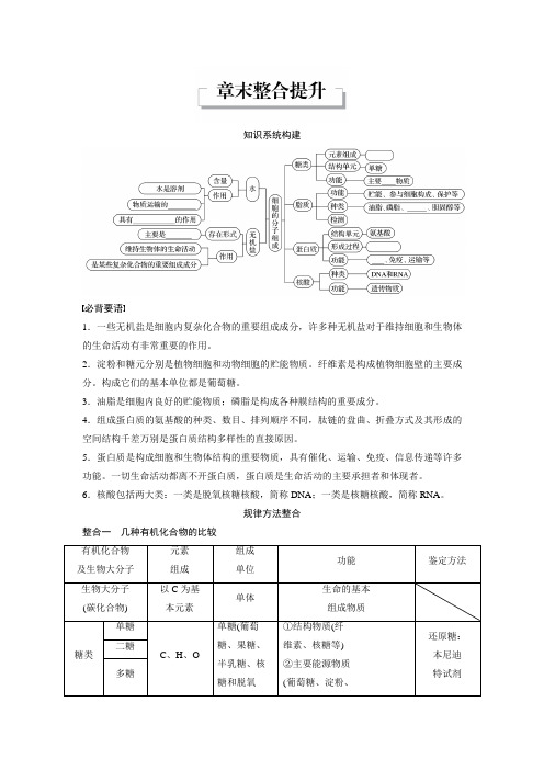 2018版高中生物浙科版必修一学案：第一章 章末整合提升 细胞的分子组成