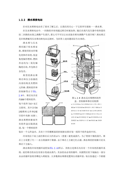 沸水核电站