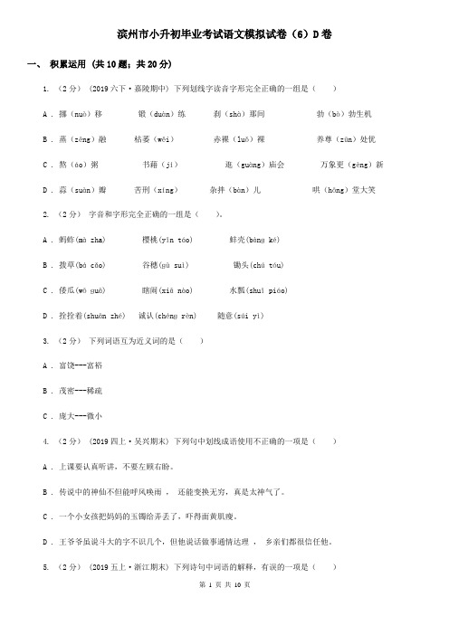 滨州市小升初毕业考试语文模拟试卷(6)D卷