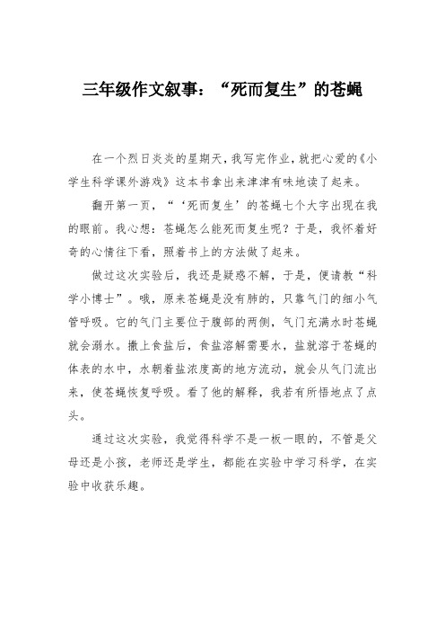 三年级作文叙事:“死而复生”的苍蝇
