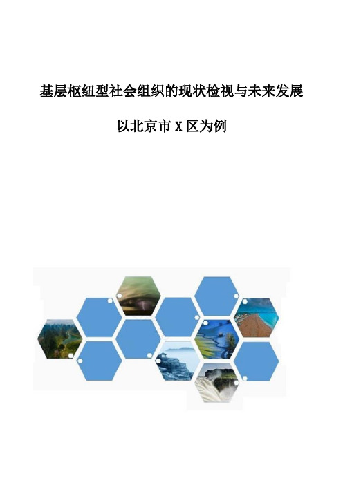 基层枢纽型社会组织的现状检视与未来发展-以北京市X区为例