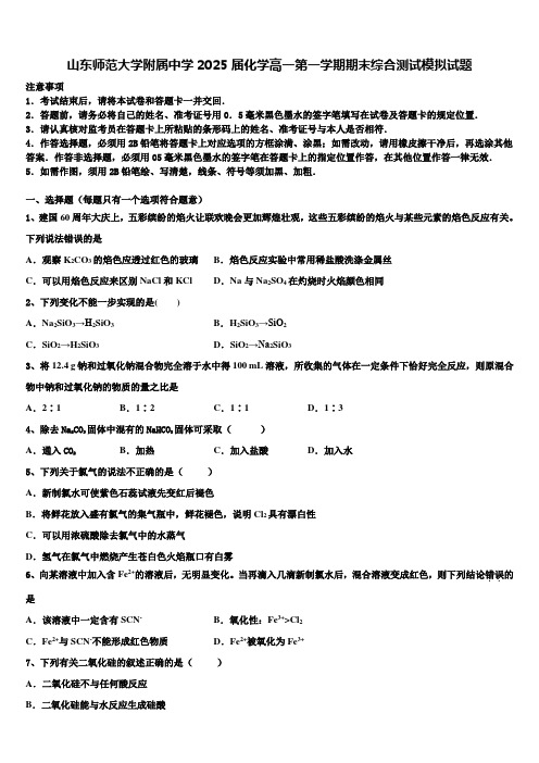 山东师范大学附属中学2025届化学高一第一学期期末综合测试模拟试题含解析