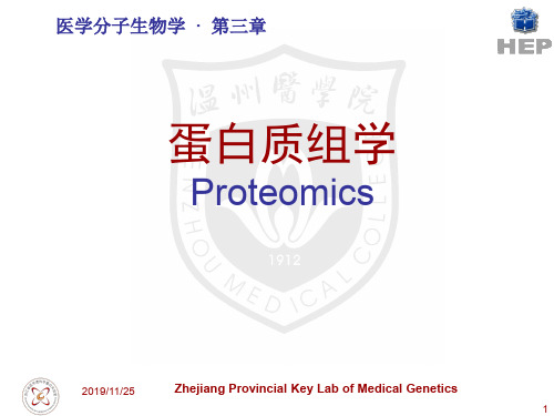 蛋白质组学(ppt文档)