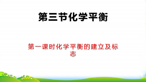 人教版选修4第二章化学反应速率和化学平衡2.3.1化学平衡的建立及标志(25页)(共25张PPT)