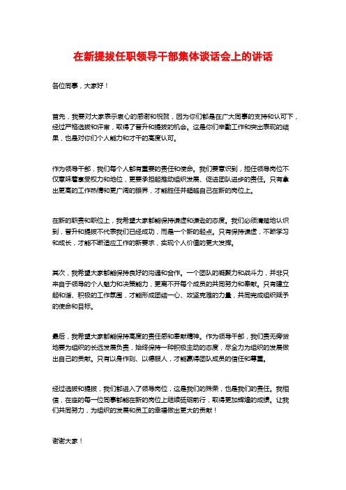 在新提拔任职领导干部集体谈话会上的讲话