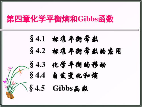 无机化学课件：第四章化学平衡熵和Gibbs函数