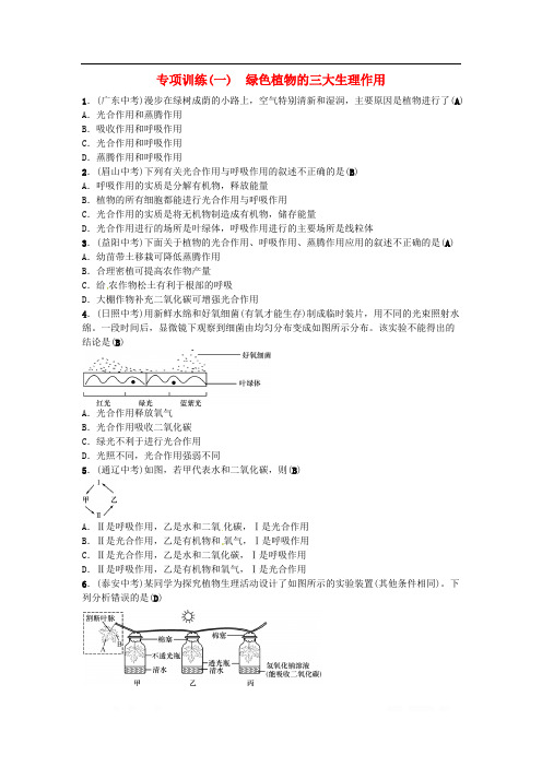 2019年中考生物总复习主题三生物圈中的绿色植物专项训练(一)绿色植物的三大生理作用