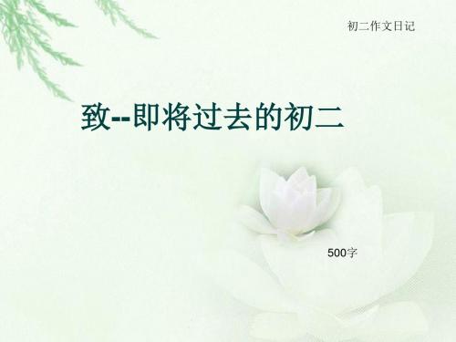 初二作文日记《致--即将过去的初二》500字(总7页PPT)