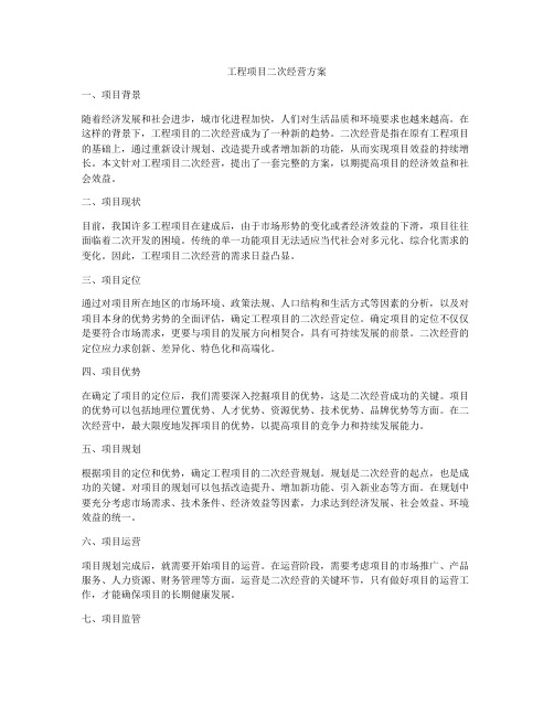 工程项目二次经营方案