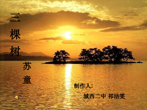 北师大版语文九年级下册第三单元第6课《三棵树》课件(共19张