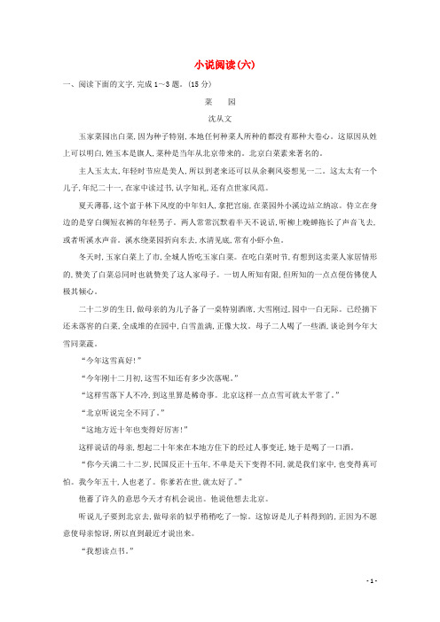 2021版高考语文总复习集训提升练十七小说阅读六含解析新人教版