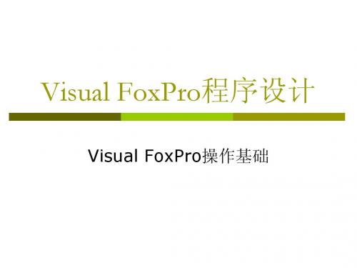 Visual FoxPro操作基础