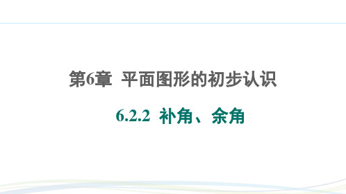 苏科版(2024)七年级数学上册第六章习题练课件：6.2.2 补角、余角