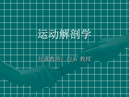 《运动解剖学教案》PPT课件