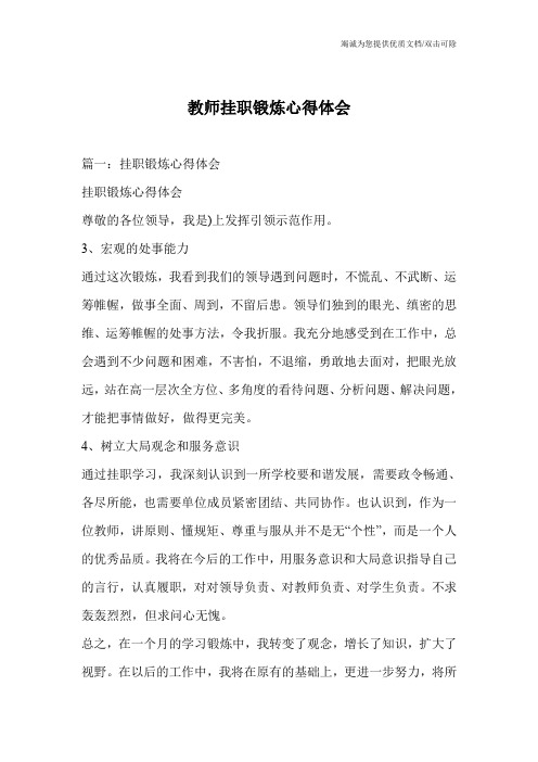 教师挂职锻炼心得体会