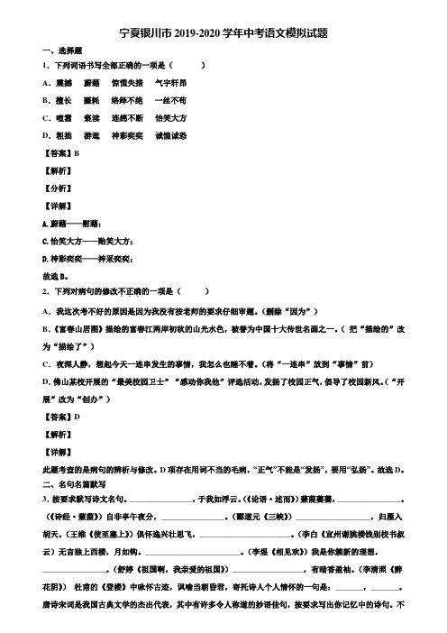 宁夏银川市2019-2020学年中考语文模拟试题含解析