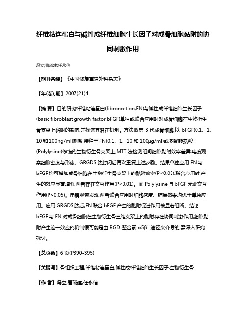 纤维粘连蛋白与碱性成纤维细胞生长因子对成骨细胞黏附的协同刺激作用