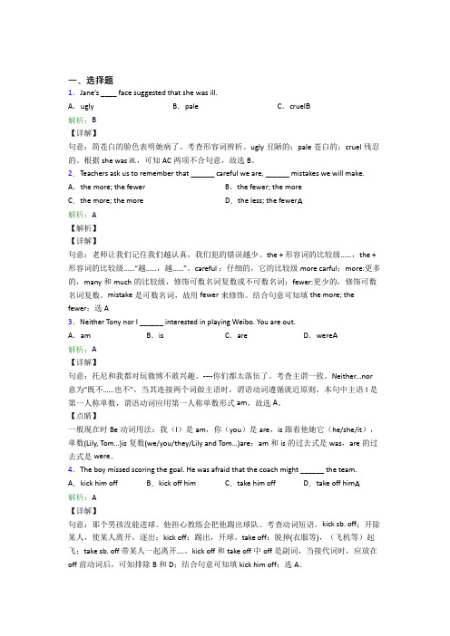 天津一中初中英语九年级全册Unit 11习题(含解析)