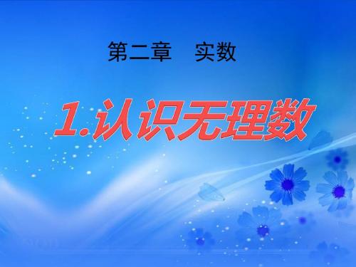 《认识无理数》实数PPT课件 (共16张PPT)