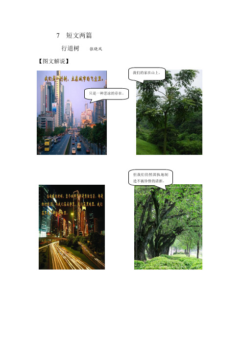 7 短文两篇