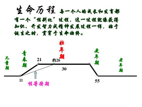 大学生性健康教育