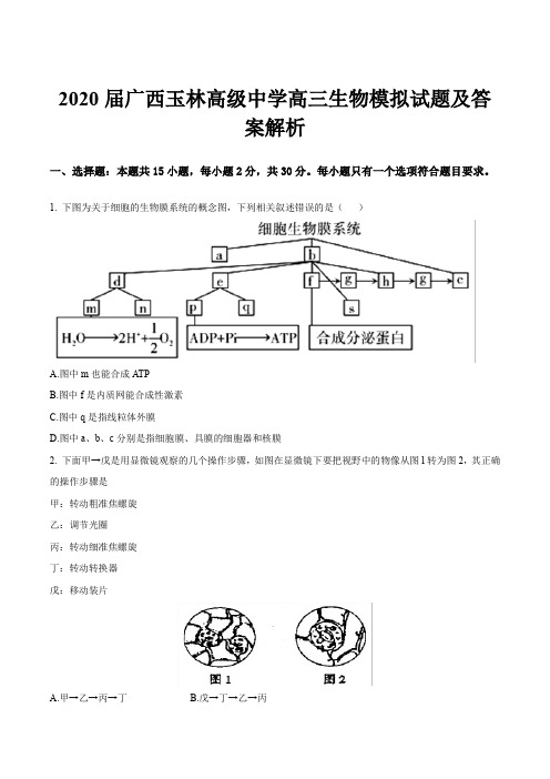 2020届广西玉林高级中学高三生物模拟试题及答案解析