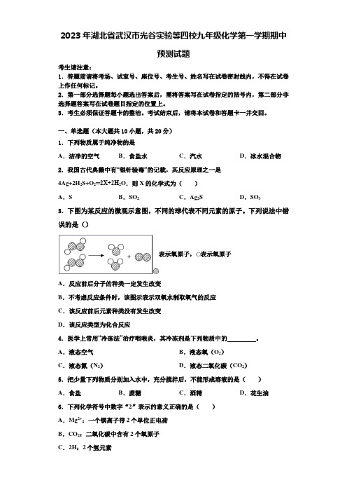 2023年湖北省武汉市光谷实验等四校九年级化学第一学期期中预测试题含解析