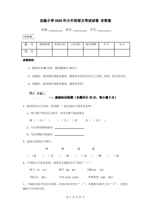 实验小学2020年小升初语文考试试卷 含答案