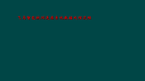 飞马智能航测遥感系统数据处理流程