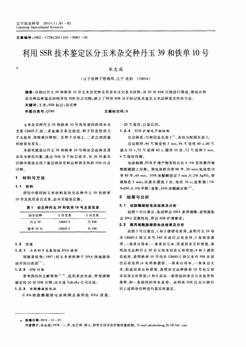 利用SSR技术鉴定区分玉米杂交种丹玉39和铁单10号