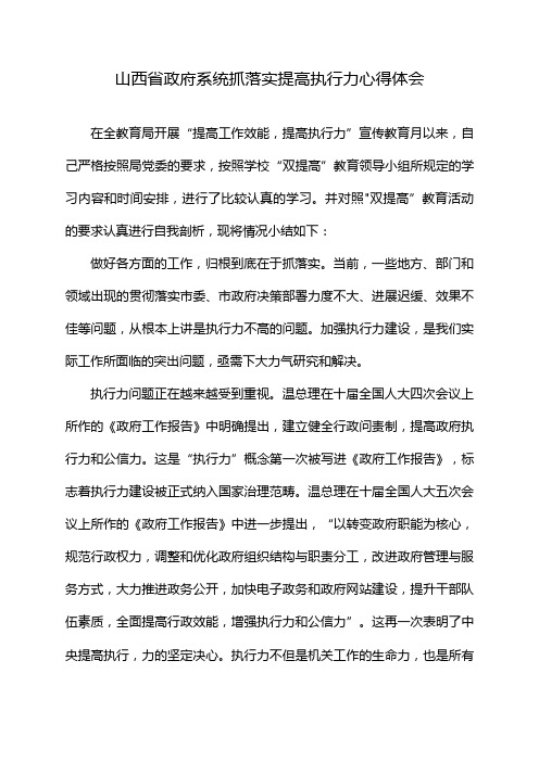 山西省政府系统抓落实提高执行力心得体会