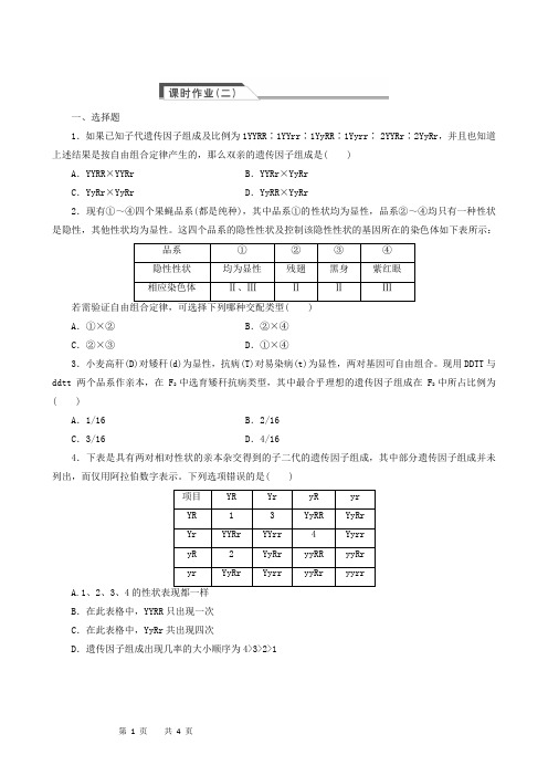 学生版高中一轮配套练习 必修2 1.2 孟德尔的豌豆杂交实验(二)