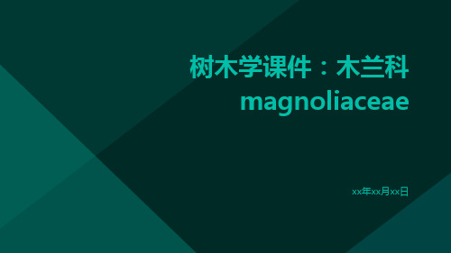 树木学课件：木兰科Magnoliaceae