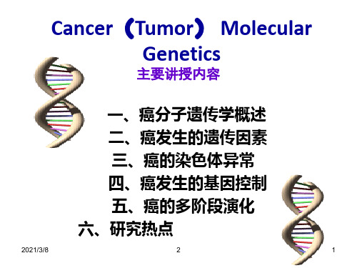 第8章肿瘤遗传学(一)PPT幻灯片