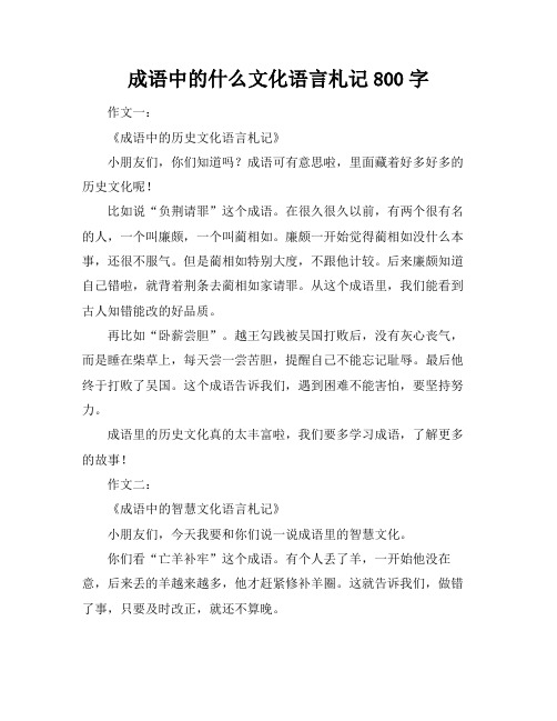 成语中的什么文化语言札记800字