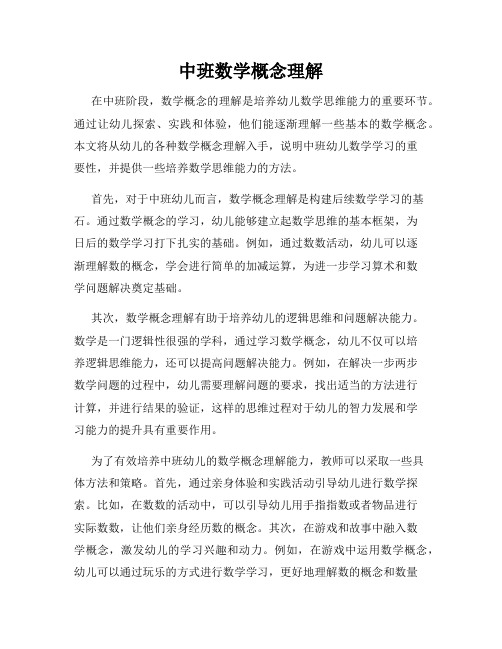 中班数学概念理解