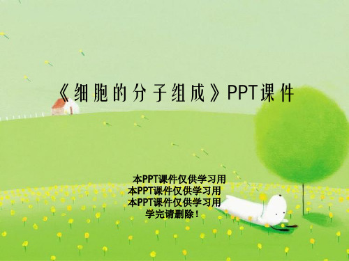 《细胞的分子组成》PPT课件