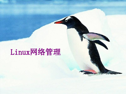 《Linux互联网技术》2使用LVM方式管理Linux