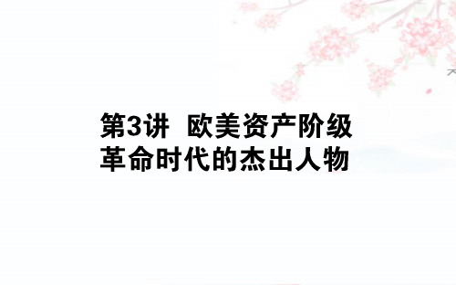 2020版高考历史(人民版)一轮复习课件：选修三 第3讲 欧美资产阶级革命时代的杰出人物