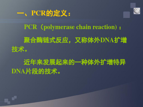 PCR原理及检测方法