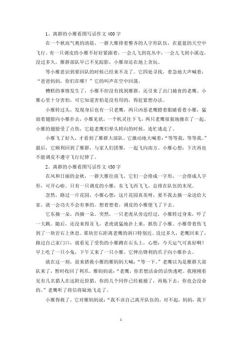 精选离群的小雁看图写话作文400字450字