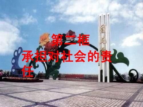 思想品德九年级全一册第一单元第二课第二节承担对社会的责任