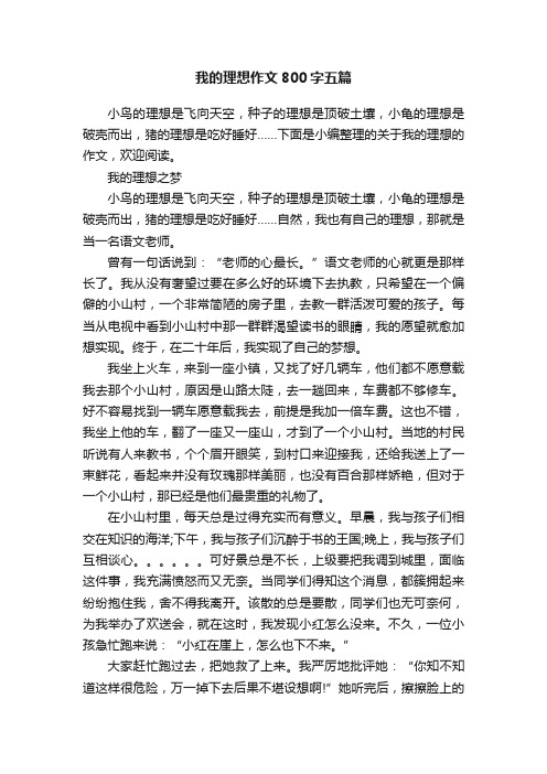 我的理想作文800字五篇