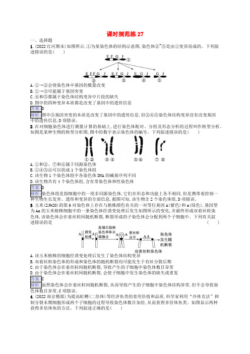 适用于新教材2024版高考生物一轮总复习课时规范练27染色体变异与育种新人教版