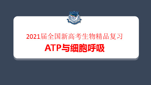 2021届全国新高考生物精品复习 ATP与细胞呼吸