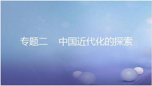 安徽省中考历史复习第二部分热点专题突破专题二中国近代化的探索讲义